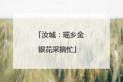 汝城：瑶乡金银花采摘忙