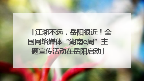 江湖不远，岳阳很近！全国网络媒体“湖南e周”主题宣传活动在岳阳启动