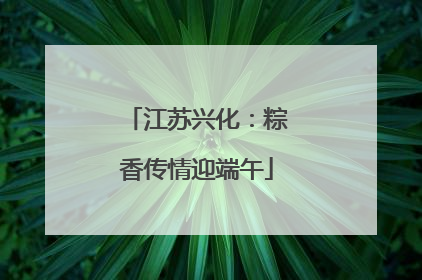 江苏兴化：粽香传情迎端午