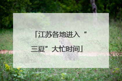 江苏各地进入“三夏”大忙时间