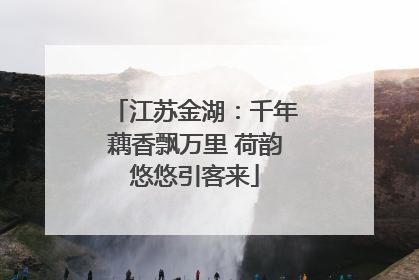 江苏金湖：千年藕香飘万里 荷韵悠悠引客来