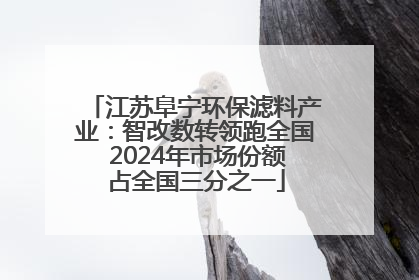 江苏阜宁环保滤料产业：智改数转领跑全国 2024年市场份额占全国三分之一