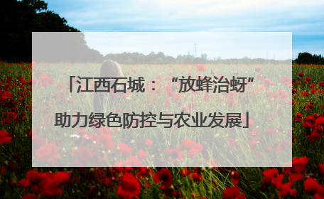 江西石城：“放蜂治蚜”助力绿色防控与农业发展