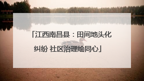 江西南昌县：田间地头化纠纷 社区治理绘同心