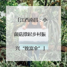 江西南昌：小菌菇撑起乡村振兴“致富伞”