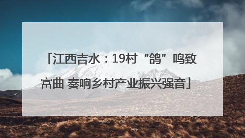 江西吉水：19村“鸽”鸣致富曲 奏响乡村产业振兴强音