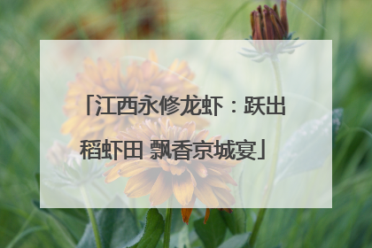 江西永修龙虾：跃出稻虾田 飘香京城宴