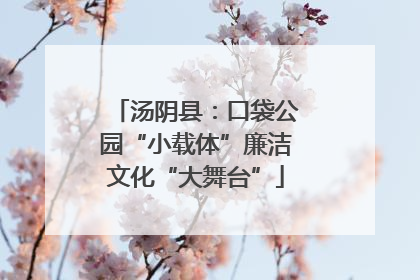 汤阴县：口袋公园“小载体”廉洁文化“大舞台”