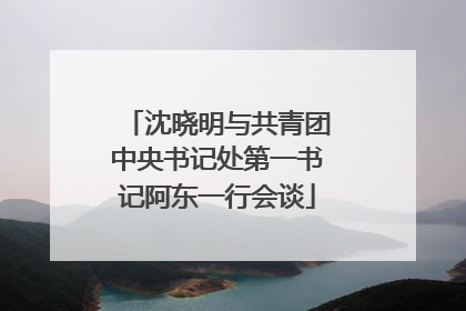 沈晓明与共青团中央书记处第一书记阿东一行会谈