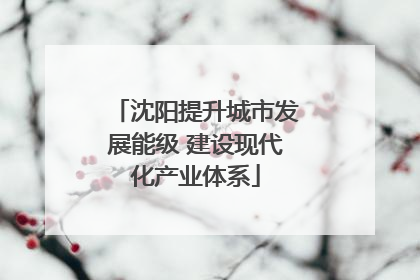 沈阳提升城市发展能级 建设现代化产业体系