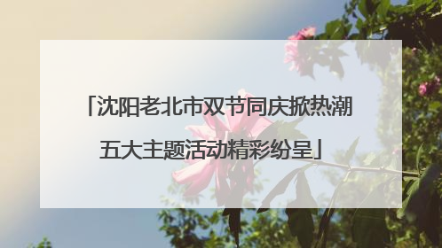 沈阳老北市双节同庆掀热潮 五大主题活动精彩纷呈