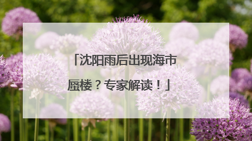 沈阳雨后出现海市蜃楼？专家解读！
