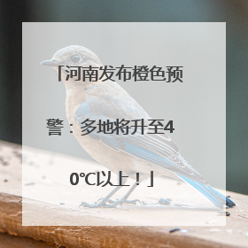 河南发布橙色预警：多地将升至40℃以上！