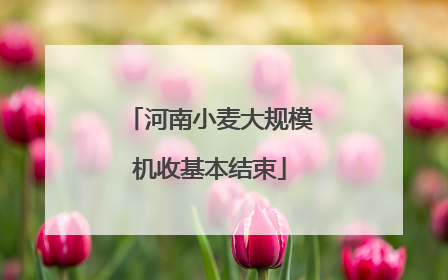 河南小麦大规模机收基本结束