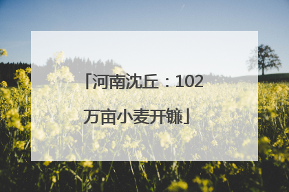 河南沈丘：102 万亩小麦开镰