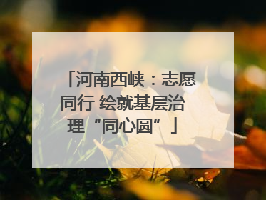 河南西峡：志愿同行 绘就基层治理“同心圆”