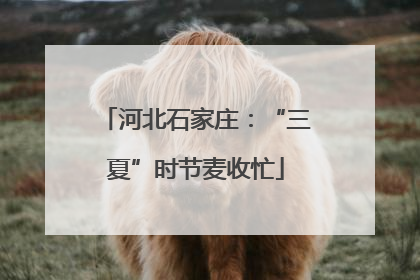 河北石家庄：“三夏”时节麦收忙