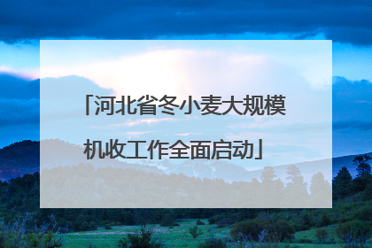 河北省冬小麦大规模机收工作全面启动