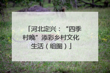 河北定兴：“四季村晚”添彩乡村文化生活（组图）