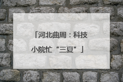 河北曲周：科技小院忙“三夏”