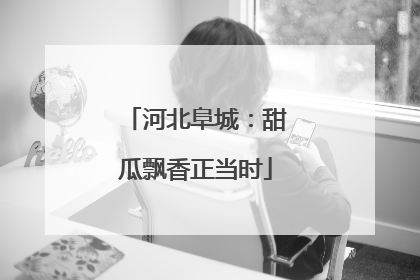 河北阜城：甜瓜飘香正当时