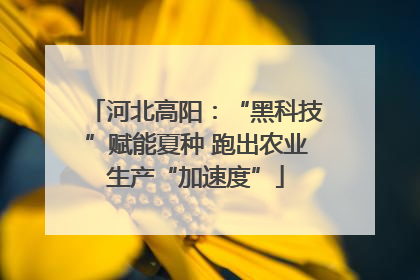 河北高阳：“黑科技”赋能夏种 跑出农业生产“加速度”