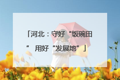 河北：守好“饭碗田” 用好“发展地”