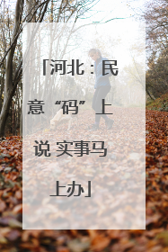 河北：民意“码”上说 实事马上办