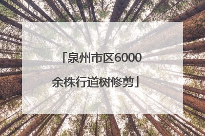 泉州市区6000余株行道树修剪
