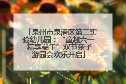 泉州市泉港区第二实验幼儿园：“童趣六一·粽享端午”双节亲子游园会欢乐开启