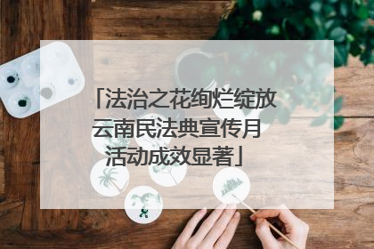 法治之花绚烂绽放 云南民法典宣传月活动成效显著