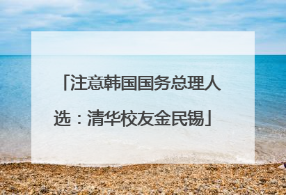 注意韩国国务总理人选：清华校友金民锡