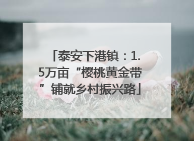 泰安下港镇：1.5万亩“樱桃黄金带”铺就乡村振兴路