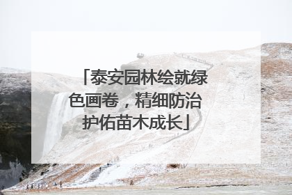 泰安园林绘就绿色画卷，精细防治护佑苗木成长