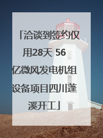 洽谈到签约仅用28天 56亿微风发电机组设备项目四川蓬溪开工
