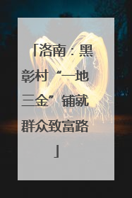 洛南：黑彰村“一地三金”铺就群众致富路