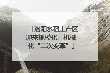 洛阳水稻主产区迎来规模化、机械化“二次变革”