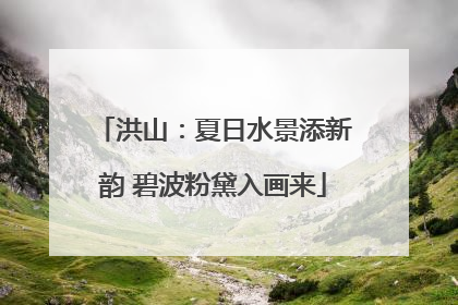洪山：夏日水景添新韵 碧波粉黛入画来