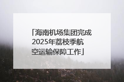 海南机场集团完成2025年荔枝季航空运输保障工作