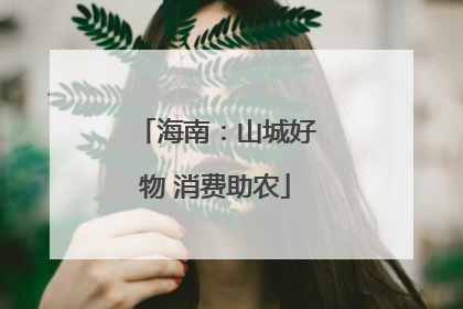 海南：山城好物 消费助农