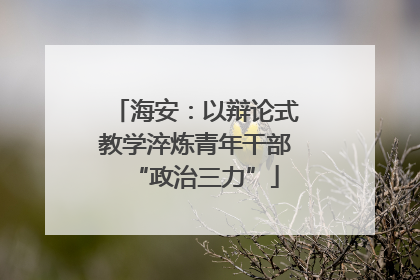 海安：以辩论式教学淬炼青年干部“政治三力”