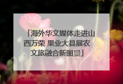 海外华文媒体走进山西万荣 果业大县展农文旅融合新图景