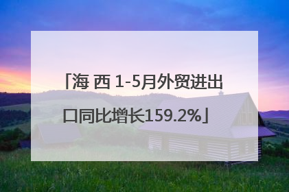 海 西 1-5月外贸进出口同比增长159.2%
