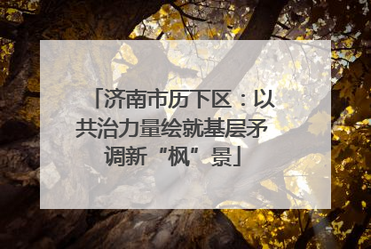 济南市历下区：以共治力量绘就基层矛调新“枫”景