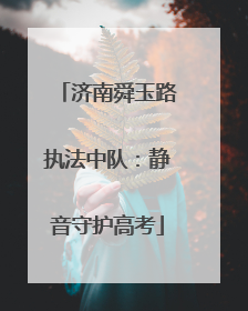 济南舜玉路执法中队：静音守护高考