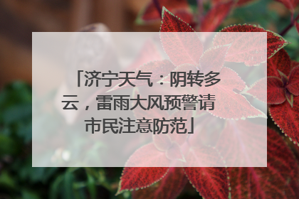 济宁天气：阴转多云，雷雨大风预警请市民注意防范