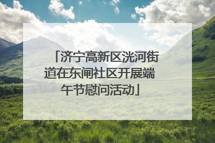 济宁高新区洸河街道在东闸社区开展端午节慰问活动