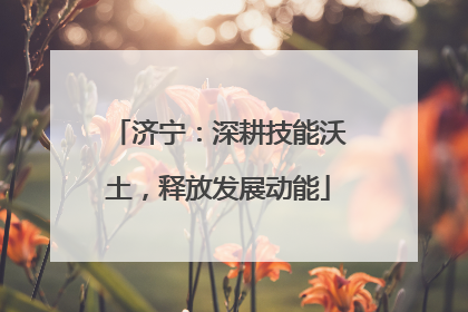 济宁：深耕技能沃土，释放发展动能