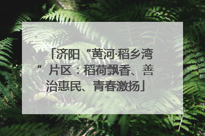 济阳“黄河·稻乡湾”片区：稻荷飘香、善治惠民、青春激扬