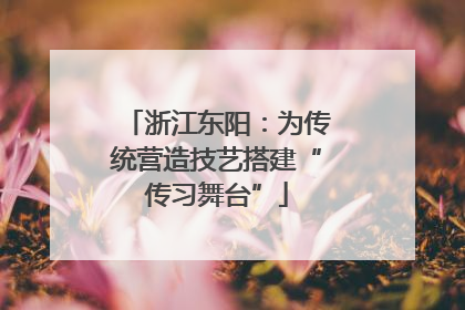 浙江东阳：为传统营造技艺搭建“传习舞台”